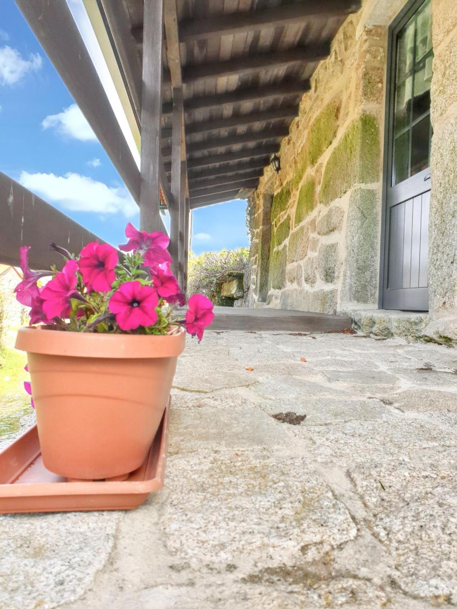 Welcoming House With Mountain View In Agueda Shared Pool Villa Urgueira  ภายนอก รูปภาพ